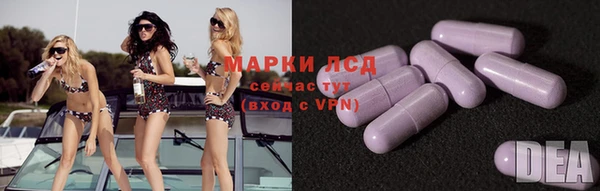 хмурый Бородино