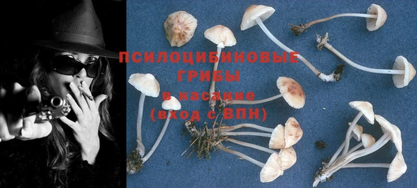 соль ск Верхний Тагил