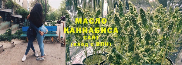 соль ск Верхний Тагил